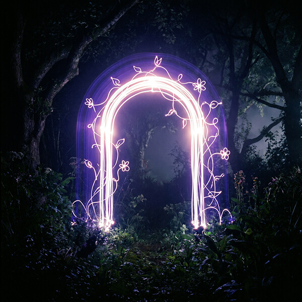 Midnight Garden Reverie
